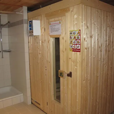 Appartamento Attelas Nend199 In And Out Nendaz